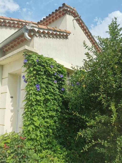Maison Avec Piscine Dans Village Provencal. Courthézon Εξωτερικό φωτογραφία